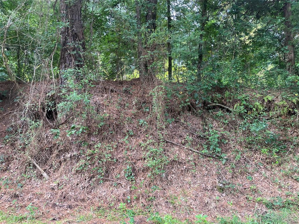 Tbd Fm-16 Property Photo 4