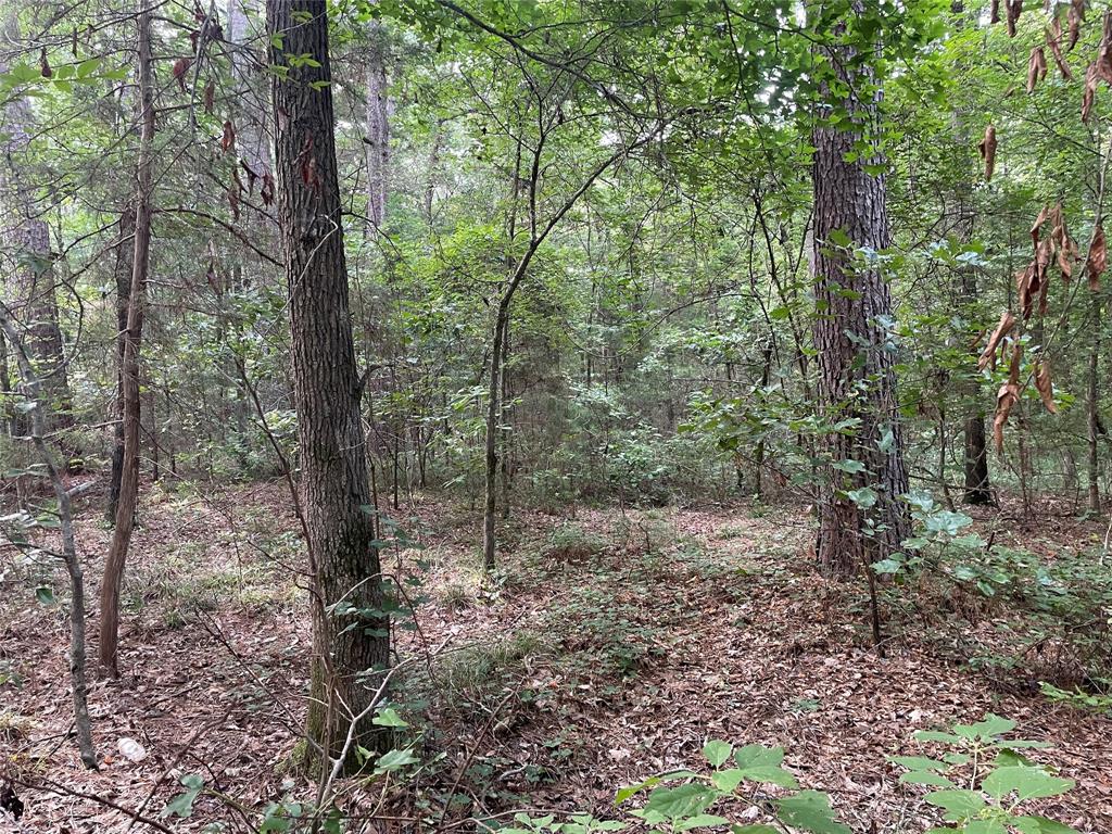 Tbd Fm-16 Property Photo 10