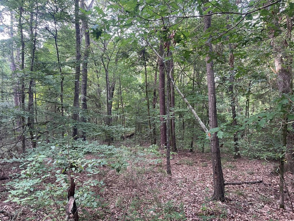 Tbd Fm-16 Property Photo 11
