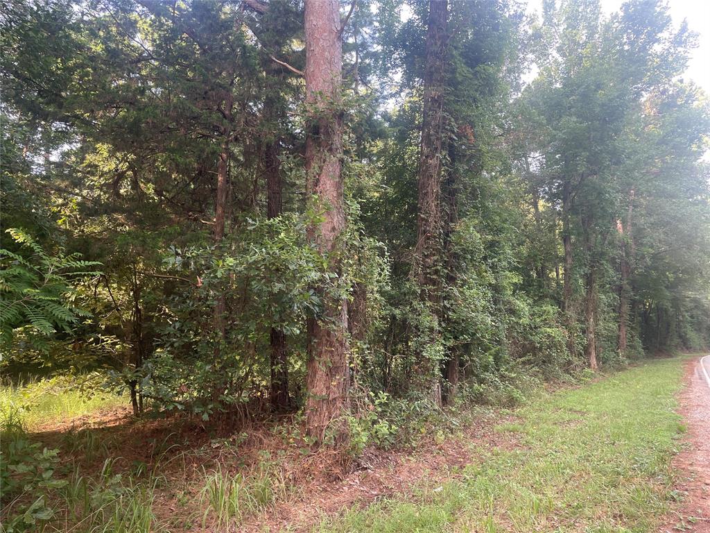 Tbd Fm-16 Property Photo 12
