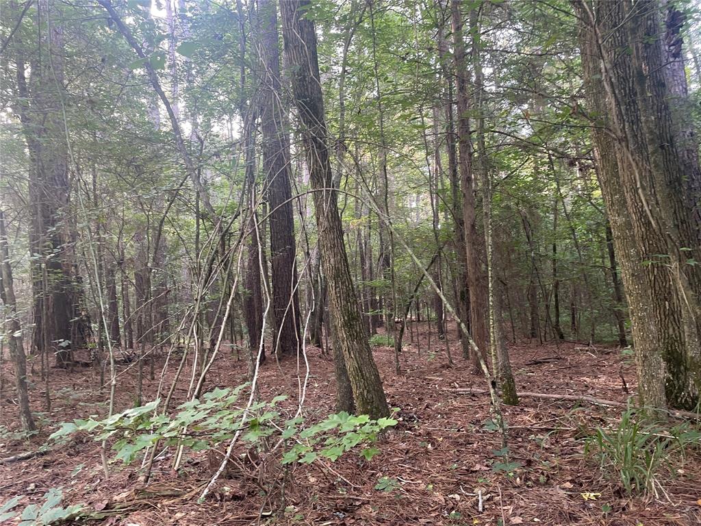 Tbd Fm-16 Property Photo 15