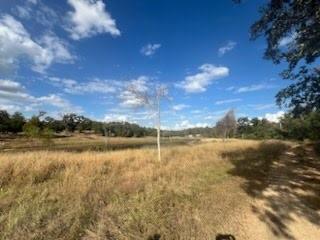 Lot 18 Woodland Trail Ranch Property Photo 1