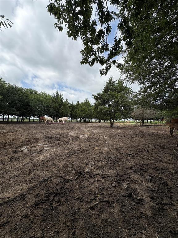Tbd Palmyra Road Property Photo 17