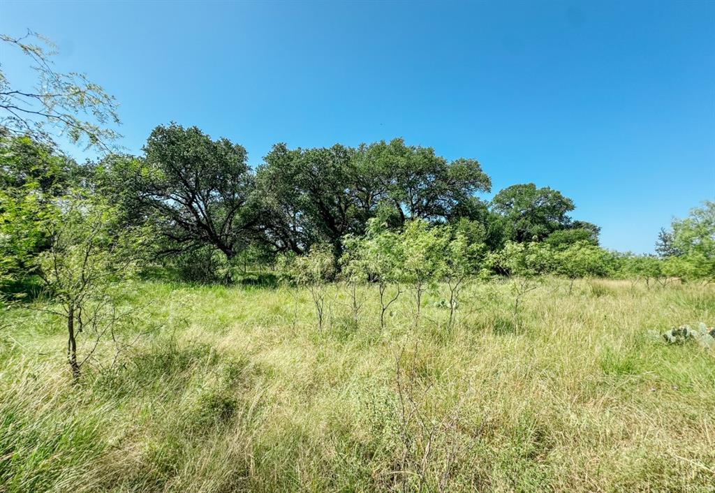 Lot 6 Morris Sheppard Drive Property Photo 1