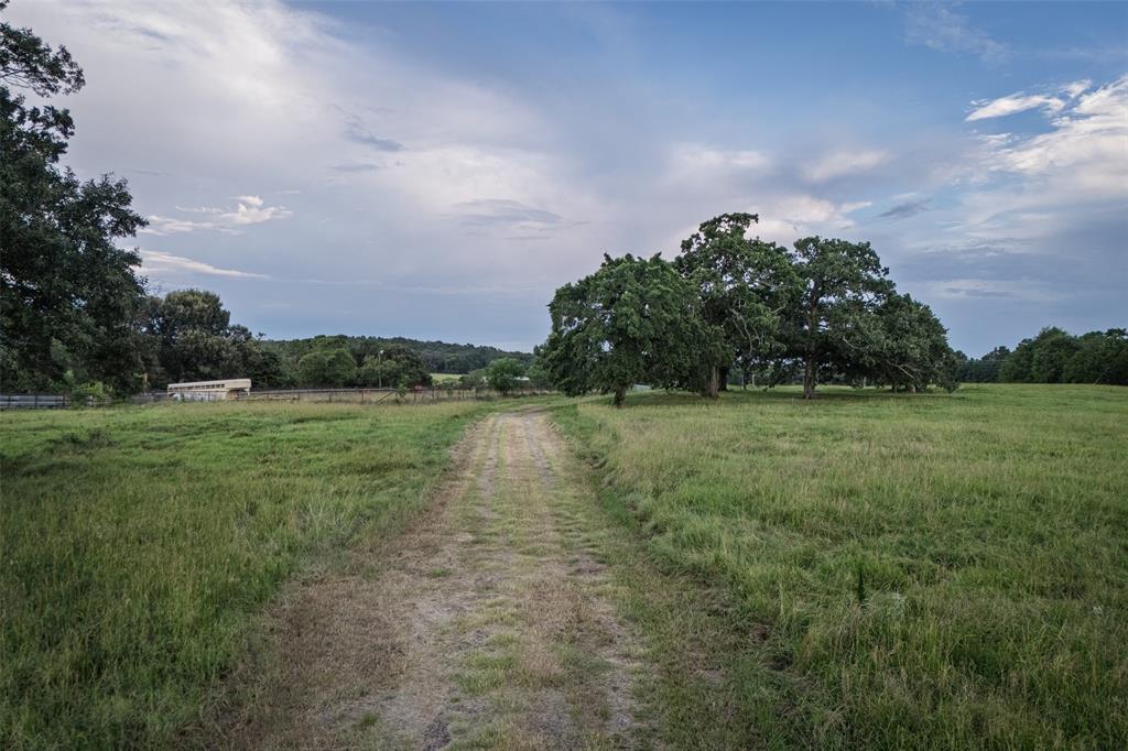 19574 Fm 1253 Property Photo 3