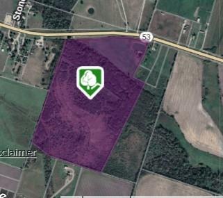Tbd State Highway 53 Property Photo 1