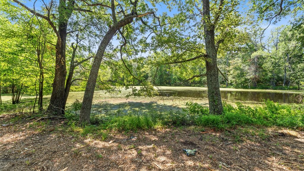 289 County Road 4586 Property Photo 18