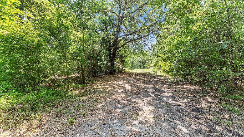 289 County Road 4586 Property Photo 21