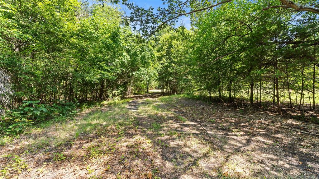 289 County Road 4586 Property Photo 22