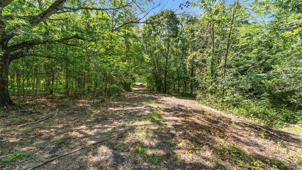 289 County Road 4586 Property Photo 23