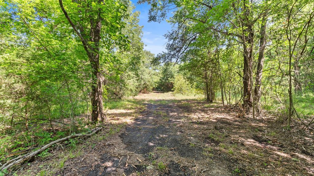289 County Road 4586 Property Photo 24