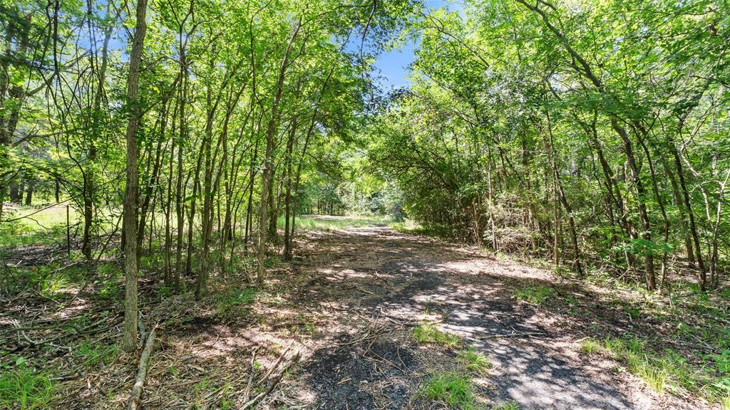 289 County Road 4586 Property Photo 25