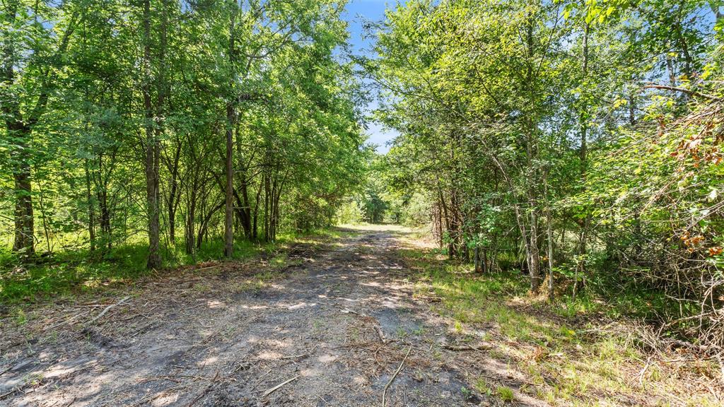 289 County Road 4586 Property Photo 26