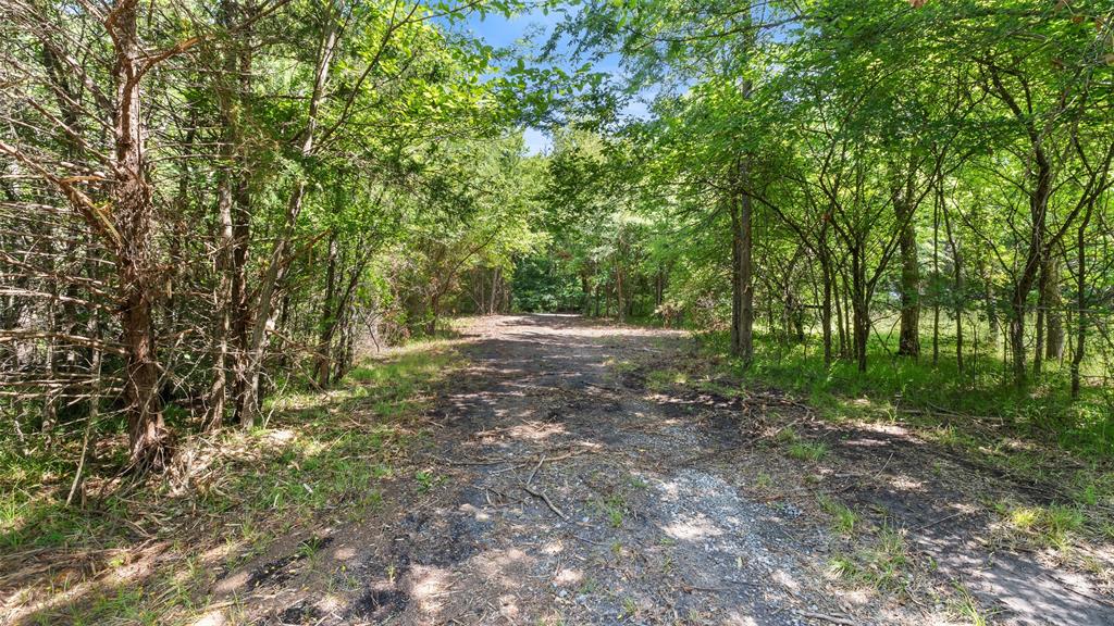 289 County Road 4586 Property Photo 27
