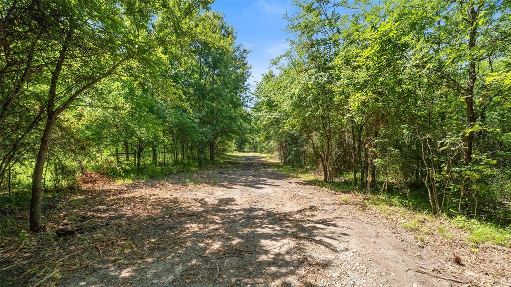 289 County Road 4586 Property Photo 28