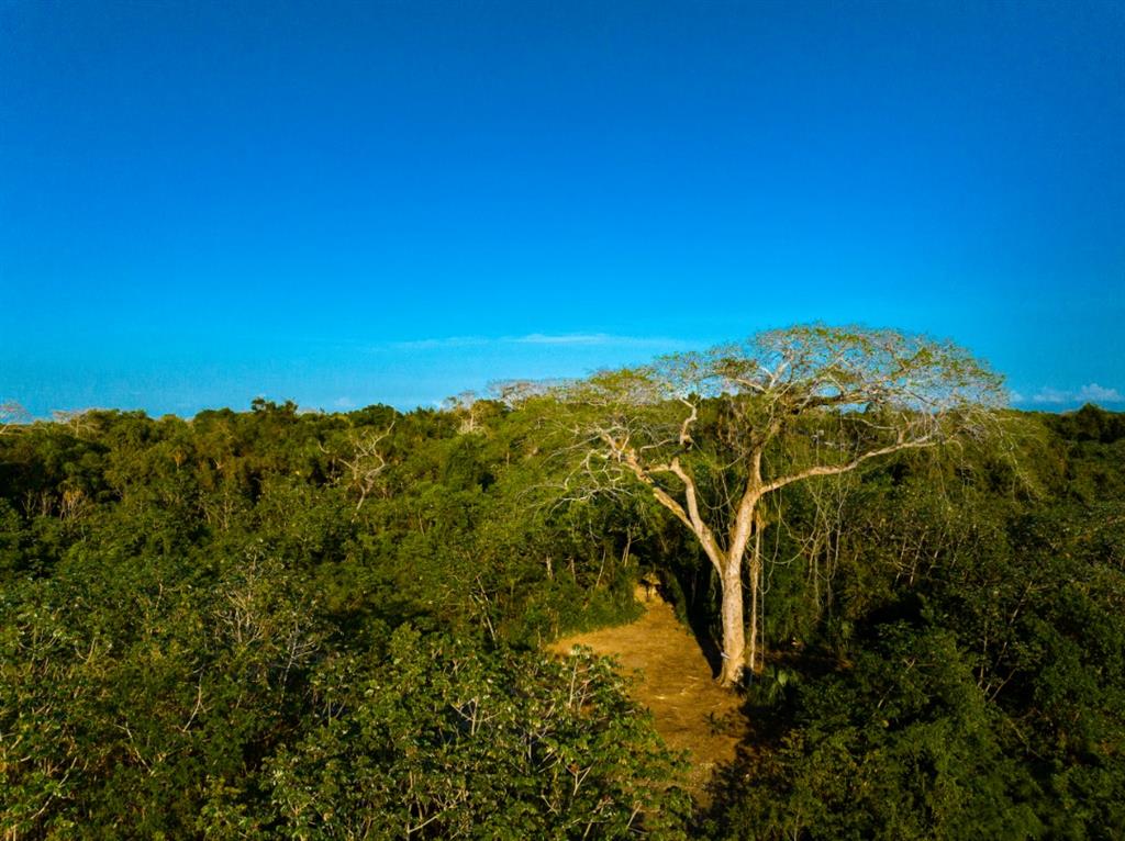 1 Rancho Del Cielo Maya Property Photo 11