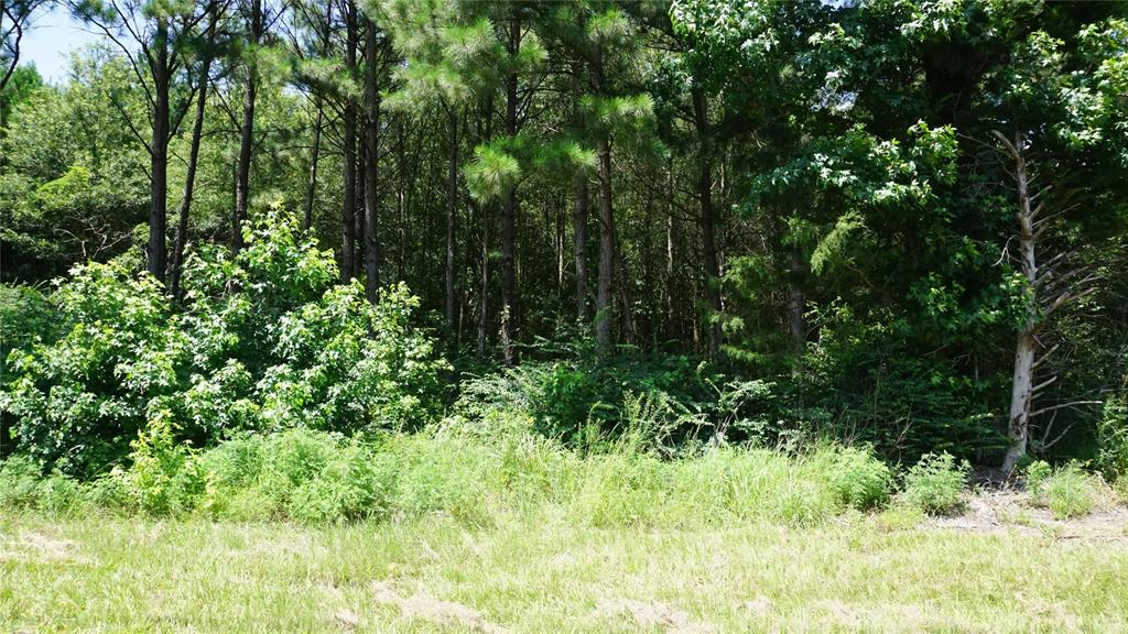 Tbd Hwy 80 Highway Property Photo 1