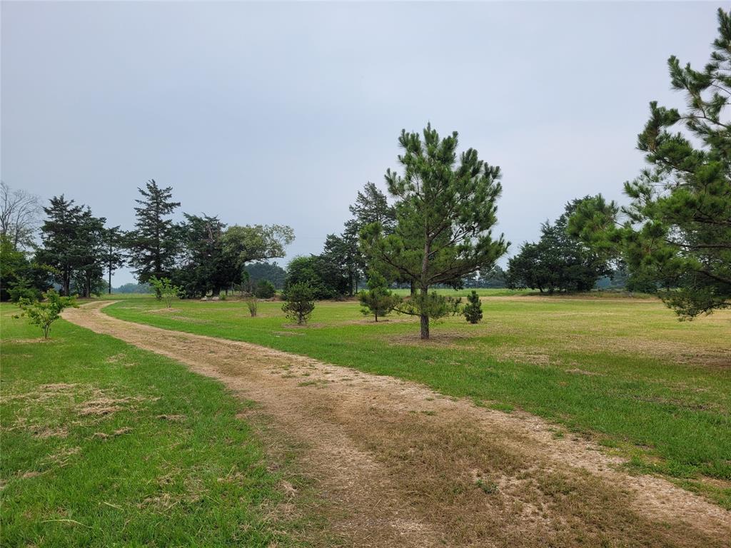 700 Cr 45900 Property Photo 4