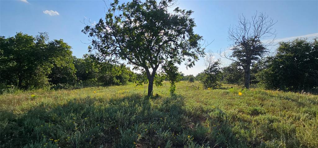 Tbd Cr 250 Property Photo 1