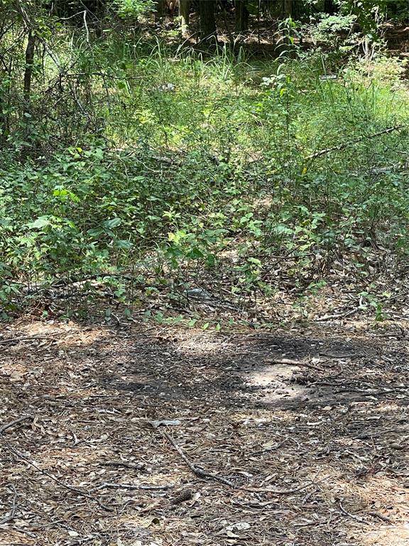 0 Ranchland Drive Property Photo 1