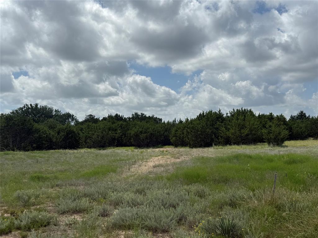 3024 Truth Court Property Photo 4
