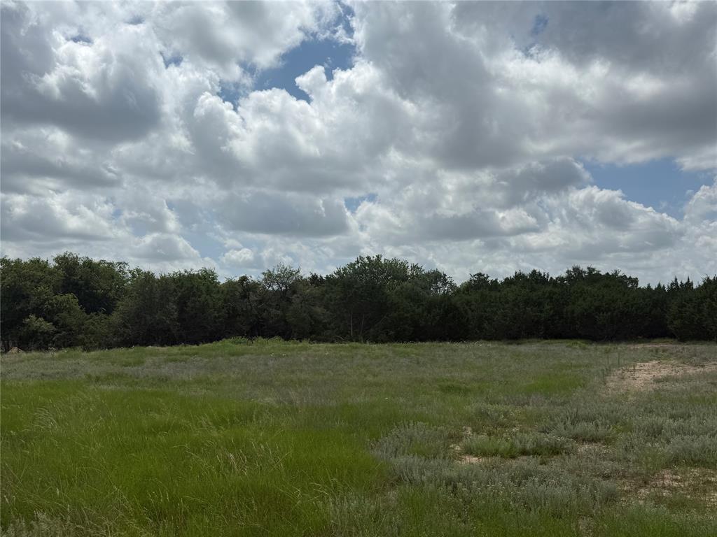 3024 Truth Court Property Photo 6