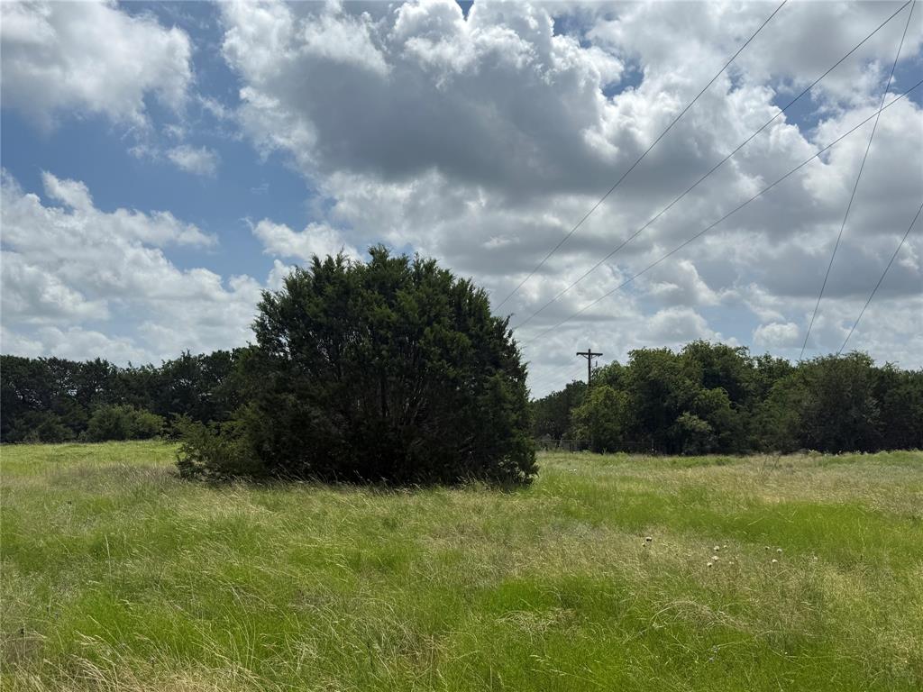 3024 Truth Court Property Photo 7