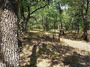 107 Mustang Springs Circle Property Photo 1