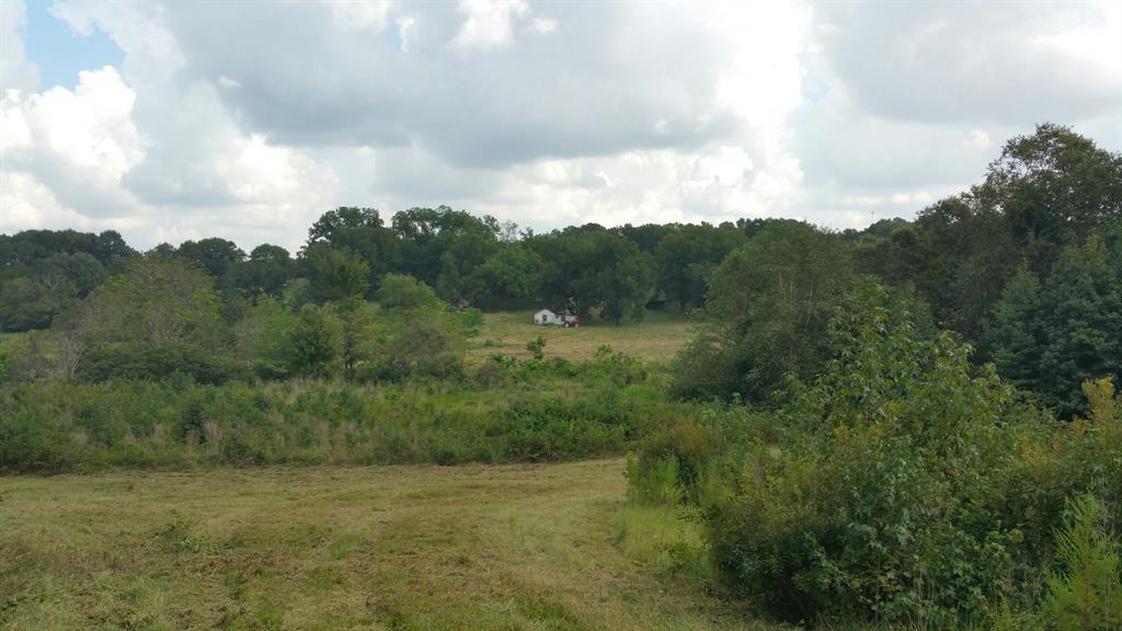 Tbd County Rd 35 Road Property Photo 2