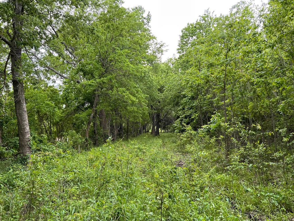 24200 County Road
