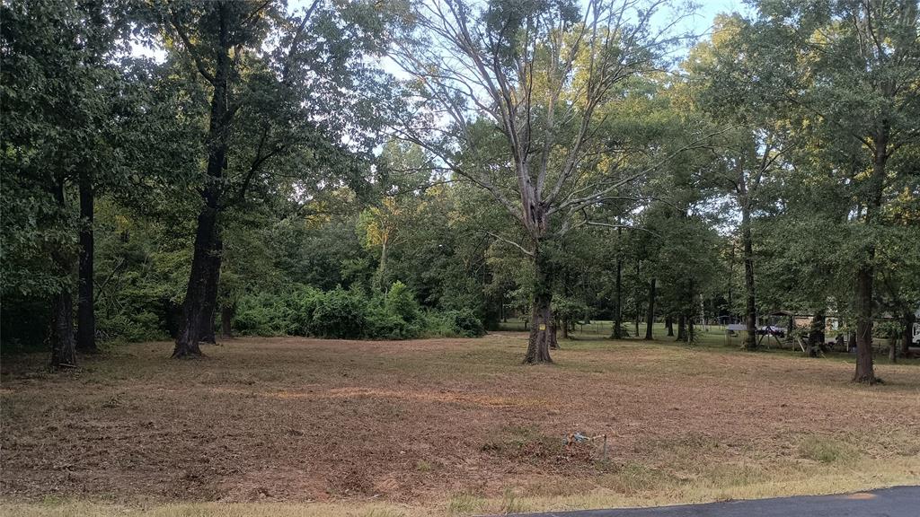 588 Ranchette Property Photo 1