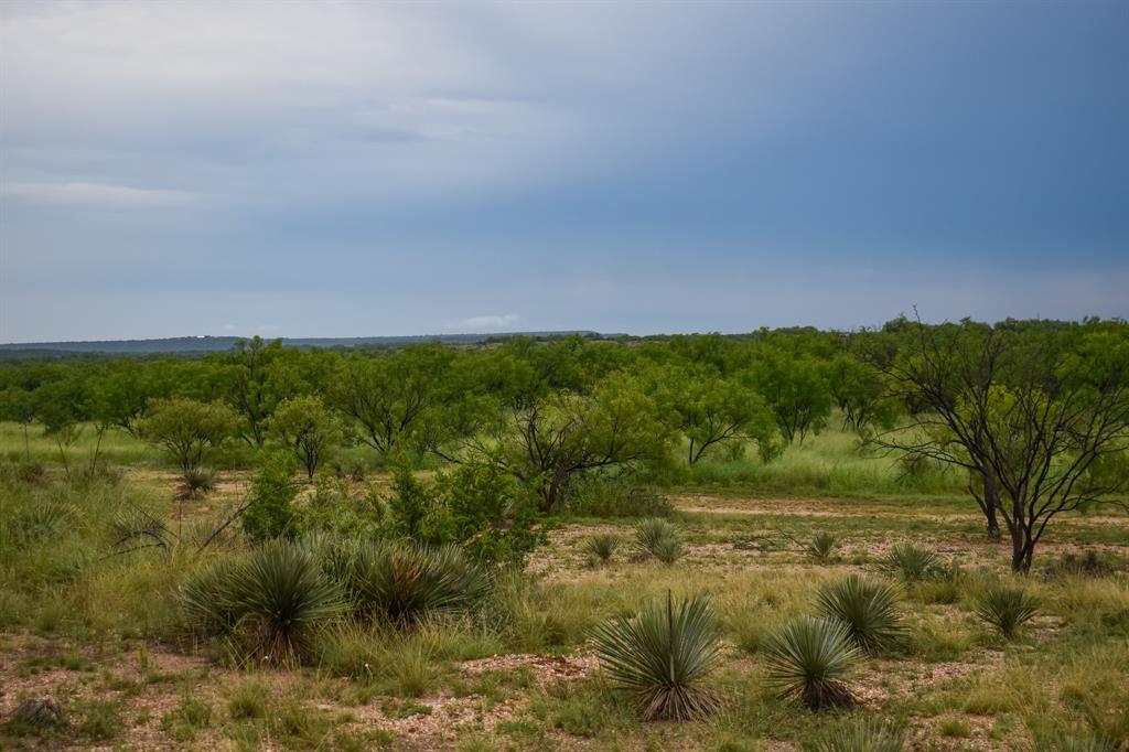 40 Acres E. Fm 765 Property Photo 1