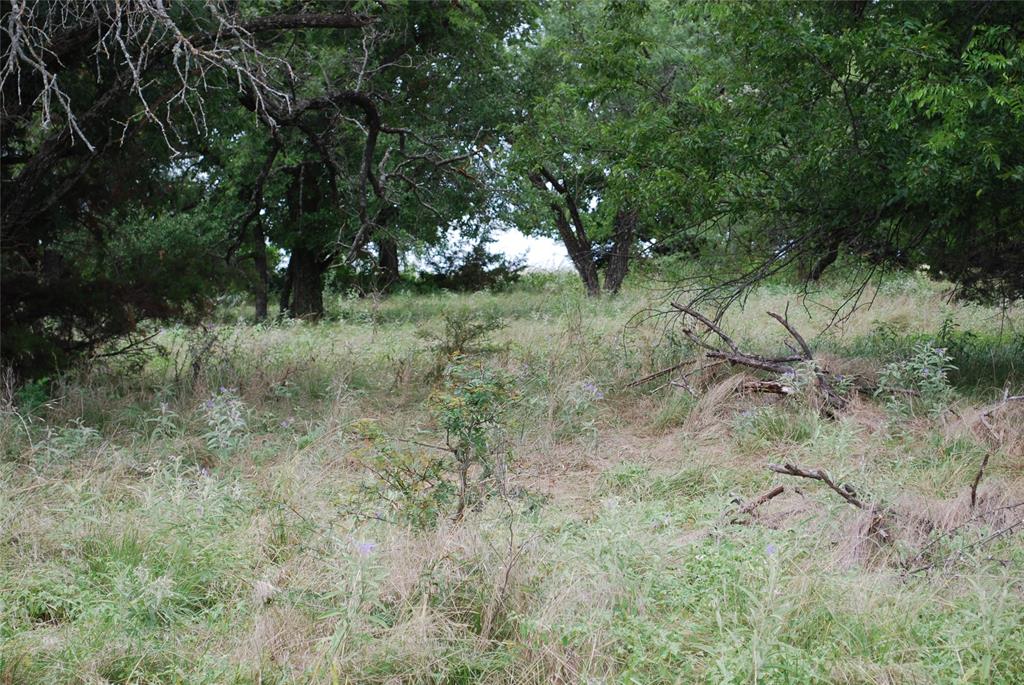 42158 Augusta Drive Property Photo 8