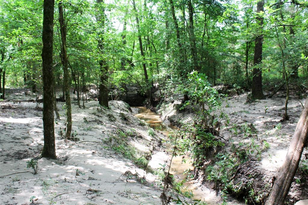 2733 County Road 1560