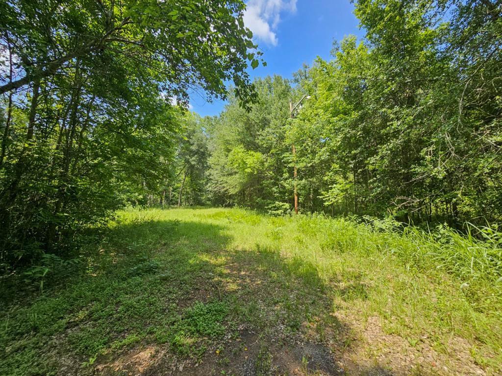 119 Kickapoo Property Photo 1