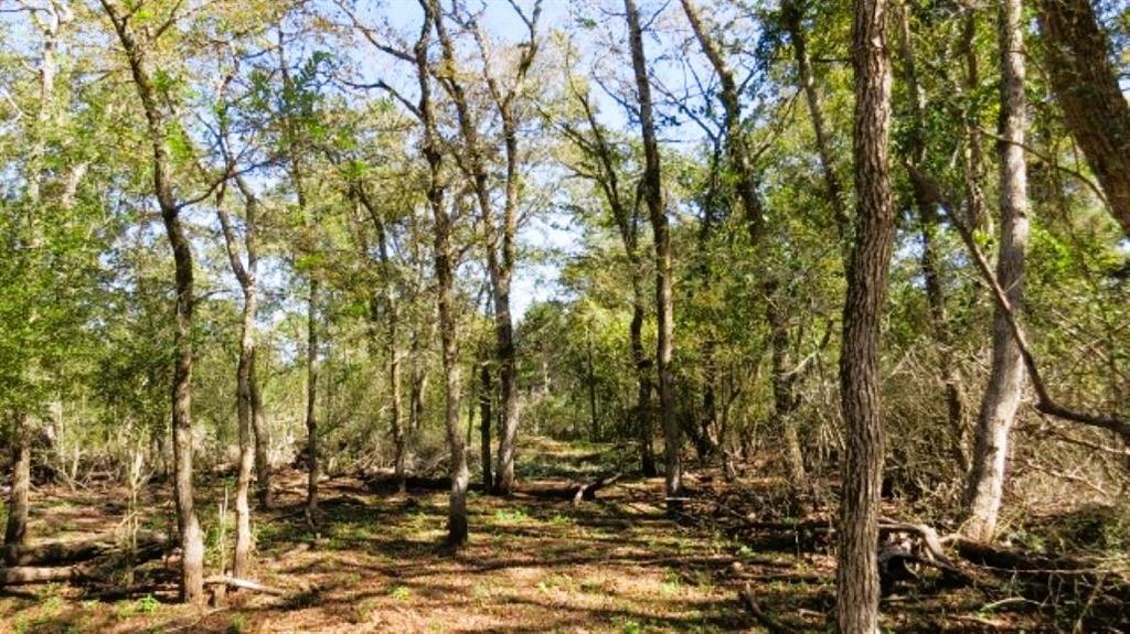 Tbd Jack Rabbit Lane Property Photo 6
