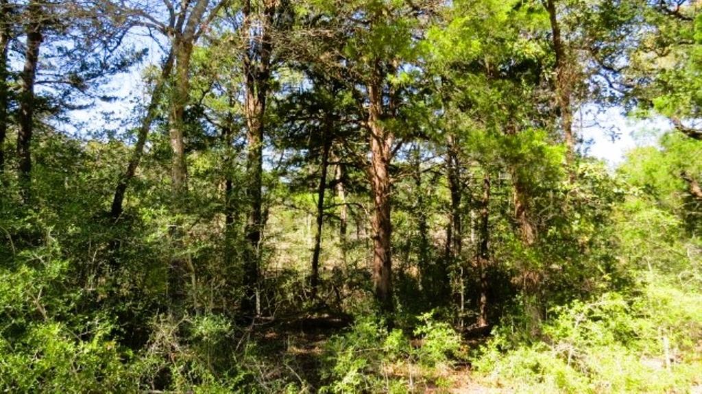 Tbd Jack Rabbit Lane Property Photo 10