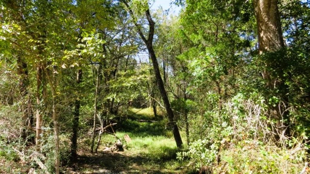 Tbd Jack Rabbit Lane Property Photo 11