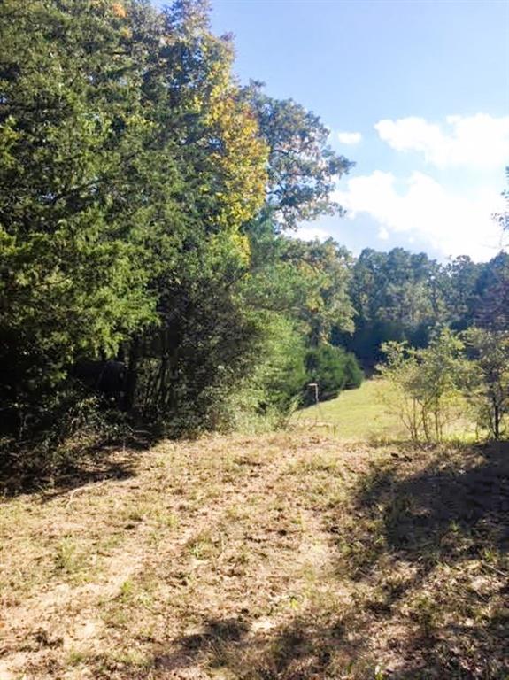 Tbd Jack Rabbit Lane Property Photo 14