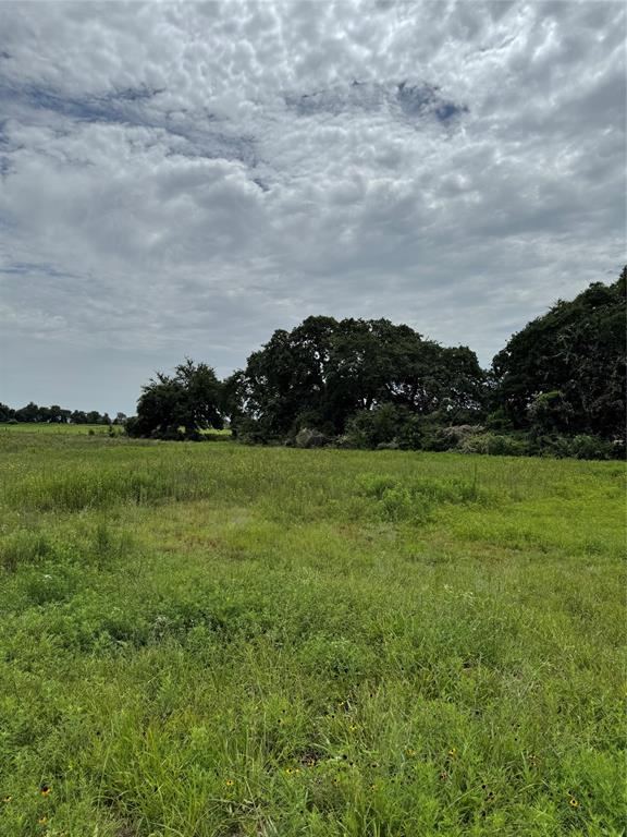 1041 Wildcat Circle Property Photo 1