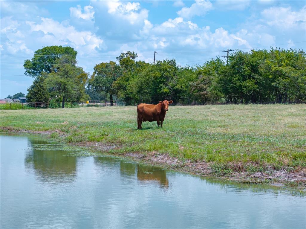 Tbd Vz County Road 2120 Property Photo 1