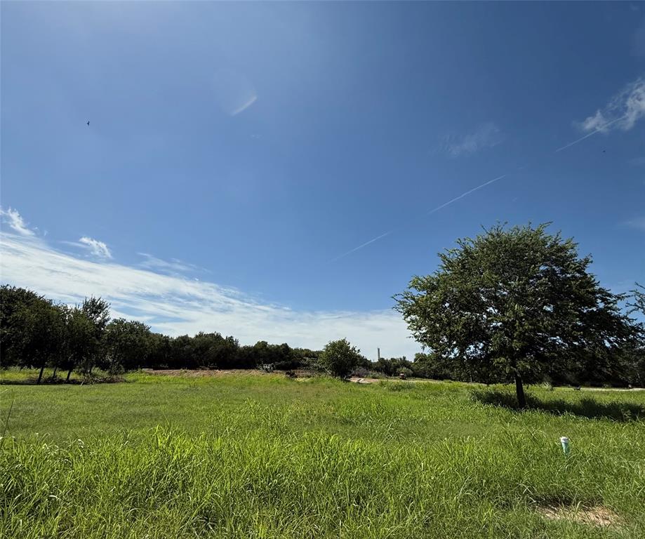118 Dove Meadow Lane Property Photo 1