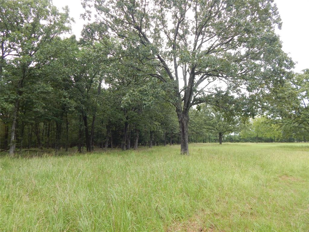 14 & 46 Lakeside Estates Property Photo 1