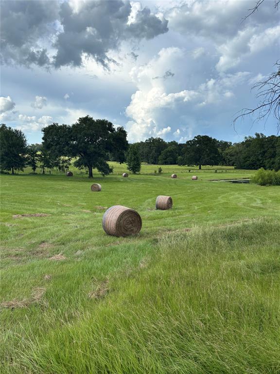 7846 County Road 360 Property Photo 27