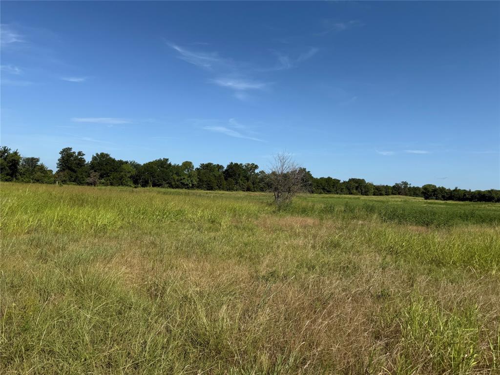 Tract 2 County Road 5045 Property Photo 1