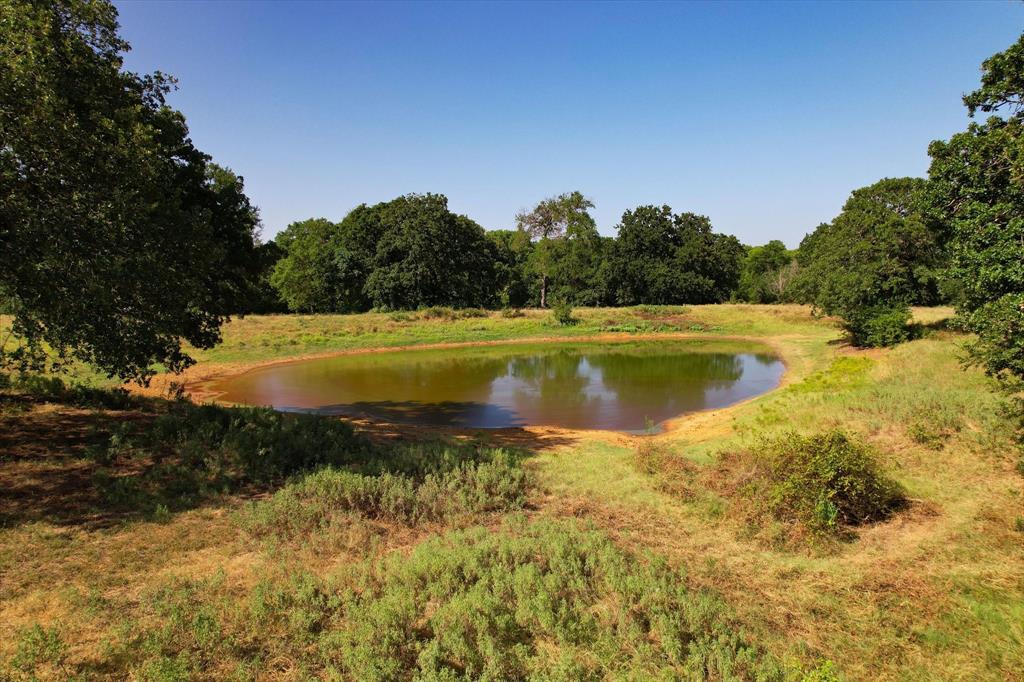 12029 Fishtrap Road Property Photo 9