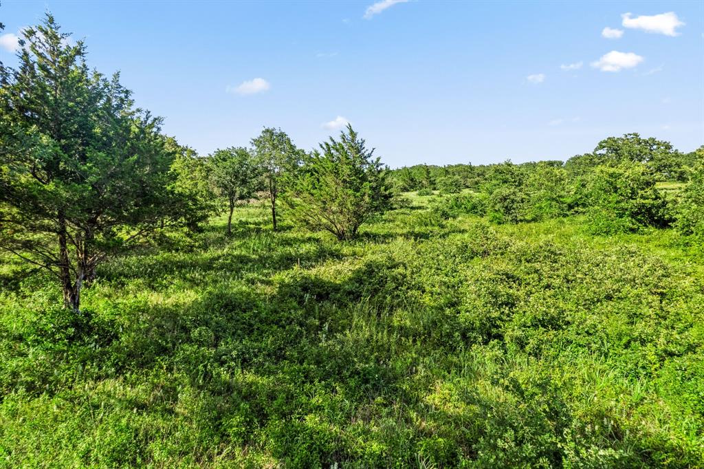 354 Trailride Lane Property Photo 4