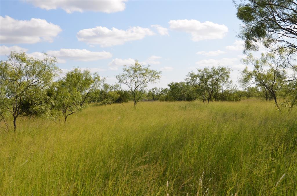 Tbd Cr 212 Property Photo 15