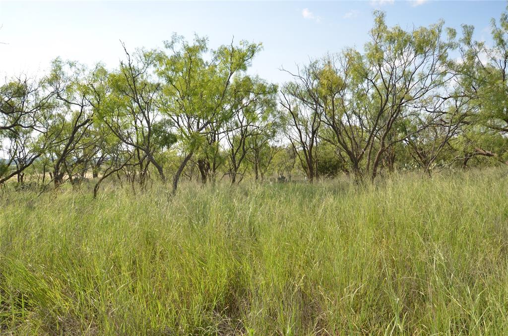 Tbd Cr 212 Property Photo 18