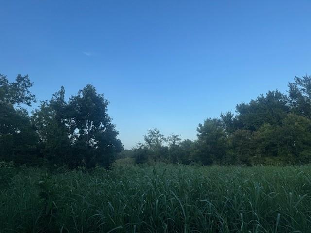 Tbd FM 1512 Property Photo 1